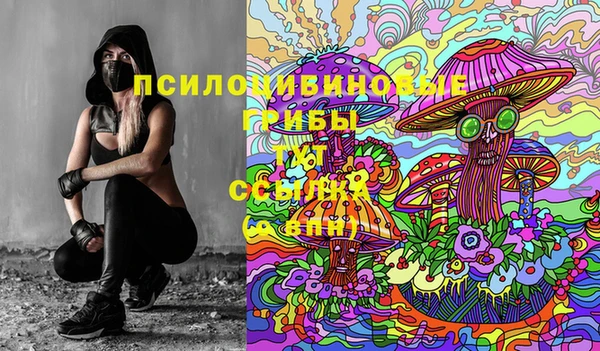 гидропоника Алексеевка