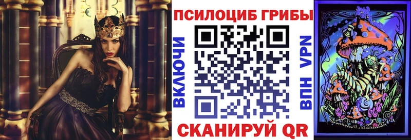 Псилоцибиновые грибы MAGIC MUSHROOMS  кракен маркетплейс  Кондопога 